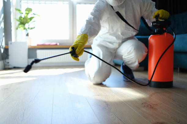 Reliable Odor Removal contractor in Birmingham, NJ by Trauma Clean Pros